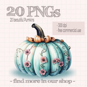 20 illustrazioni ad acquerello di clipart digitale, belle immagini di zucca 2000 x 2000 pixel, file PNG clipart zucca autunno Halloween scrapbook
