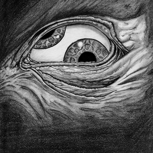 May include: A close-up of a large, detailed, black and white pencil drawing of an eye. The eye is open and staring directly at the viewer. The eye is surrounded by wrinkles and folds of skin, giving the impression of an aged or weathered creature.