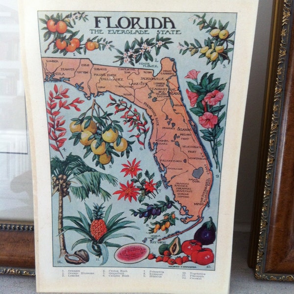 1912 vintage FLORIDA illustrated map  - colorful and lovely