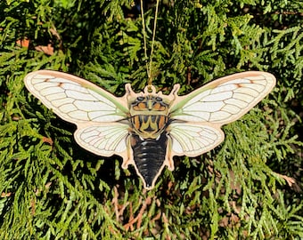 Annual Cicada Ornament