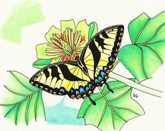 In The Waiting Line 2- swallowtail study original framed drawing