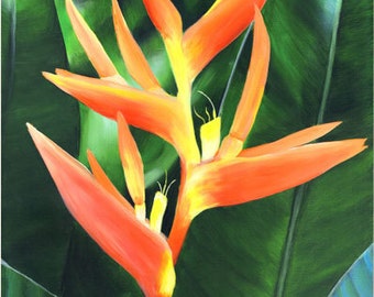 Heliconia 8x10 Print