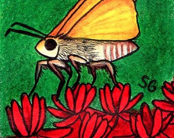 Skipper Butterfly ACEO Bug Art Original by SamanthasArtStudio on Etsy