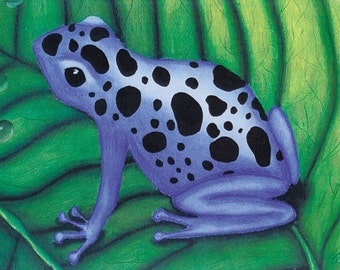 SALE!* Blue Poison Dart Frog 8x10 Limited Edition Print