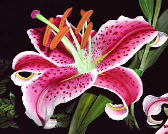 Stargazer Lily 8x10 Print