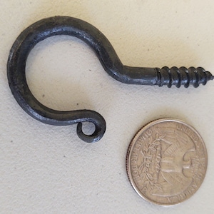 May include: A hand-forged, dark gray metal screw-in hook with a curled end. The hook is next to a US quarter for size comparison. The screw portion is approximately 0.75 inches long.