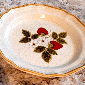 Mikasa - Strawberry Festival - Bone China - 8 inch Salad Plates  - EB 801  -  Japanese Bone China