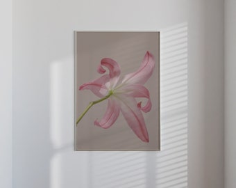 Art mural lys rose, désert imprimable, art mural moderne, impression nature fleur, photographie de paysage, lys rose, Scandi minimal
