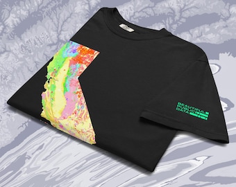 May include: A black short-sleeved t-shirt featuring a colourful, abstract geological map graphic on the left side and the text "BEAUTIFUL PUBLIC DATA" printed in bright green on the right sleeve. The shirt has a crew neckline and a standard fit.