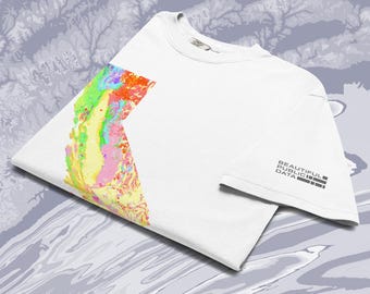 May include: A white short-sleeved t-shirt featuring a colourful abstract geological map graphic on the left side and the text "BEAUTIFUL PUBLIC DATA" printed in black on the right sleeve. The shirt has a crew neckline and a standard fit.