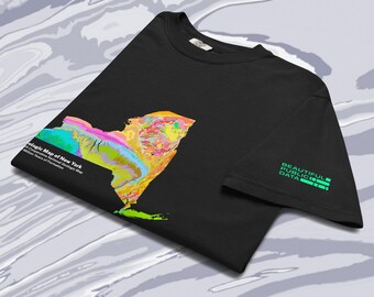 May include: A black t-shirt featuring a colorful geologic map of New York state on the front. The graphic includes the text Geologic Map of New York, U.S. Cooperative National Geologic Map, and Million Years of Formation. The sleeve displays the text BEAUTIFUL PUBLIC DATA.