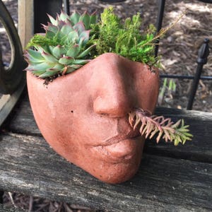 Goddess Planter Head &#39;Sassy&#39; Planter Face (Terra cotta) - Listing for 1 head without plants Cast Concrete