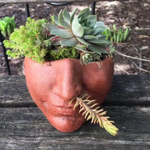 Goddess Planter Head &#39;Serene&#39; Planter Face (Terracotta) -  Plants not Included Cast Concrete