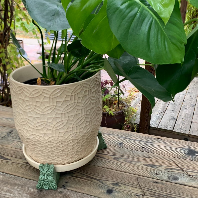 May include: A large, leafy green plant in a white ceramic pot with a textured surface. The pot is sitting on a set of three green, whimsical, decorative plant stands shaped like faces.
