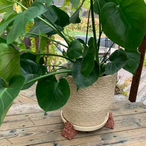 Op de afbeelding: Een grote, groene, bladerrijke plant in een witte keramische pot met een getextureerd oppervlak. De pot staat op een decoratieve standaard met vier bruine, gebeeldhouwde poten.