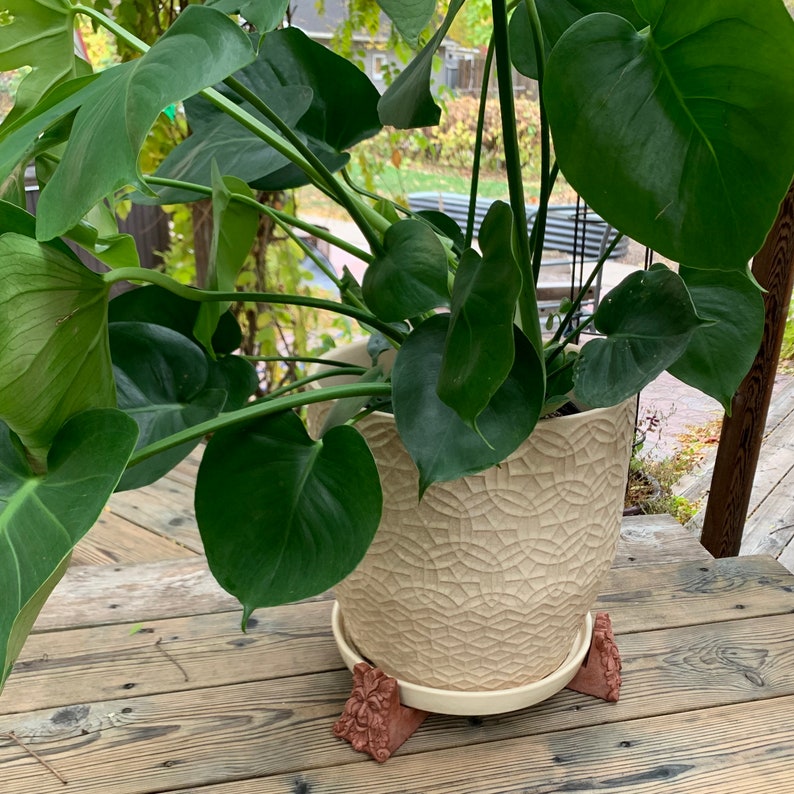 Op de afbeelding: Een grote, groene, bladerrijke plant in een witte keramische pot met een getextureerd oppervlak. De pot staat op een decoratieve standaard met vier bruine, gebeeldhouwde poten.