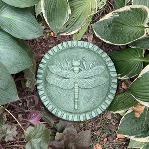 Concrete Dragonfly Stepping Stone (Moss) Garden Art
