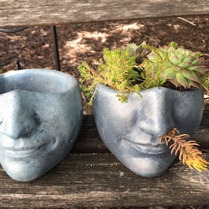 May include: Two gray concrete planters shaped like faces with succulents growing out of them. The planters have a distressed finish and are sitting on a wooden surface.