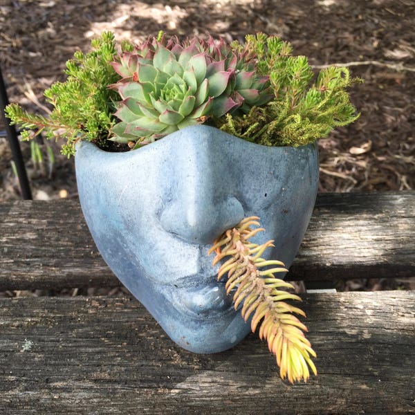 Goddess Planter Head 'Sassy' Planter Face (Bluestone) - Listing for 1 head (Plants not Included) Cast Concrete