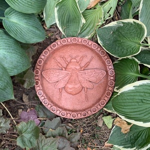 May include: A circular, terracotta-colored, decorative plate with a raised, detailed carving of a bumblebee. The plate has a honeycomb pattern around the edge.