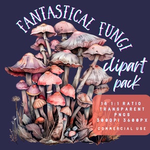 Fantastique champignon champignon vénéneux Clipart | nature PNG | Art botanique | Impression à la demande | Aquarelle de champignons | Licence commerciale png |