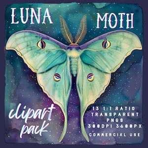 Luna Motte Clipart | Schmetterling PNG | Motte Kunst | Print on Demand | Aquarell Luna Motte Clipart | Kommerzielle Lizenz Png | Hexenkunst
