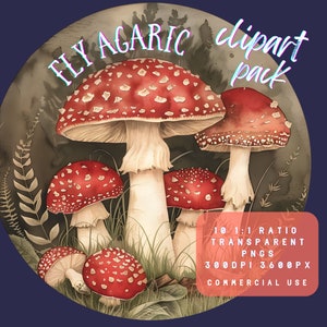Amanite mouche, champignon vénéneux Clipart | nature PNG | Art botanique | Impression à la demande | Aquarelle de champignons | Licence commerciale png |