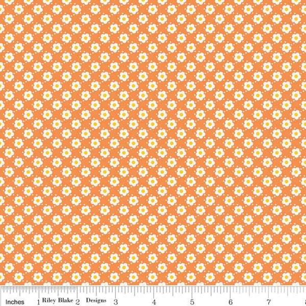 Hello Sunshine Orange Daisy  - 1/2 Yard