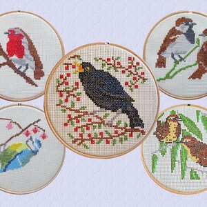 May include: Five embroidery hoops featuring different bird designs. The hoops are made of wood and have a white fabric background. The birds are embroidered in various colours, including red, blue, green, brown, and black.