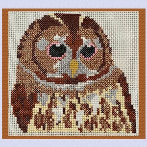 May include: Cross-stitch owl portrait in brown, tan, and grey. The owl features large black eyes with pink accents and a yellow beak. The artwork is framed in a brown wooden frame, highlighting the detailed needlework.