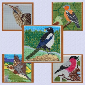 May include: Five different cross-stitch embroidery designs featuring various birds. The designs include a brown and tan bird with a long beak, a black and white bird with a yellow beak, a green and yellow bird, a red, orange and blue bird, and a pink and grey bird.