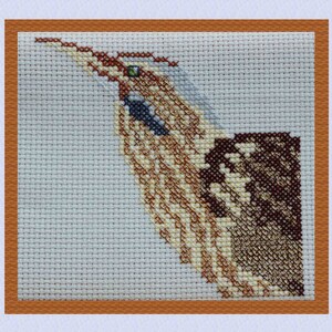 May include: Cross-stitch pattern of a brown and white bird with a long beak and green eyes. The bird is stitched on a white background.