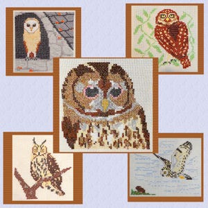 May include: Five different cross-stitch patterns featuring owls. The patterns are framed in brown wood and have a white background. The owls are depicted in various poses and colours, including brown, white, and red.
