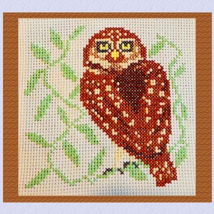 Little Owl cross stitch pattern, LDX1014, pdf, British bird embroidery chart