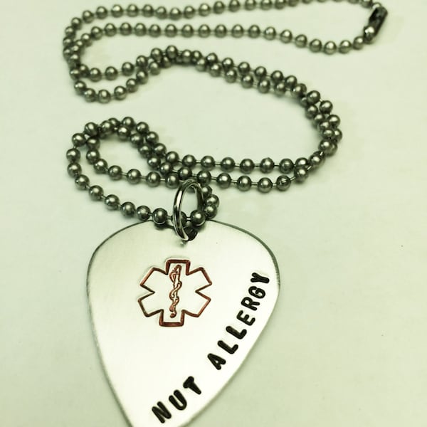 Medical Necklace, Guitar Pick Medical Alert Necklace, Medical Alert Jewelry, Diabetic Necklace, Allergy Necklace, Pacemaker Necklace, EMT