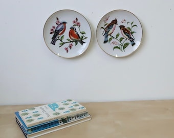 Vintage Robin and Jay Bird Decorative Wall Plates with Gold Trim - Set of Two