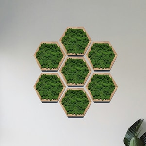 Moss hexagon, moss art, moss panel, honeycombs moss wall art, green wall moss art, moss home decoration,  wooden honeycombs