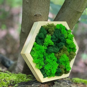Moss hexagon, moss art, moss panel, honeycombs moss wall art, green wall moss art, moss home decoration,  wooden honeycombs