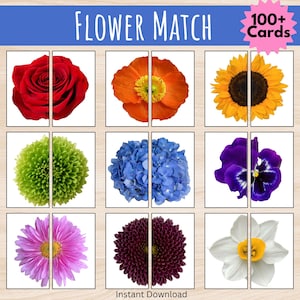 Flower Match Puzzle Cards | Printable Preschool Matching Game | Fine Motor Activity | Memory Game | Spring Learning Centers
