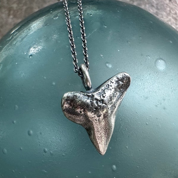 bull shark tooth talisman necklace pendant - sterling silver jewelry