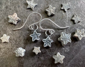 tiny star fossil earrings - crinoid star fossil jewelry