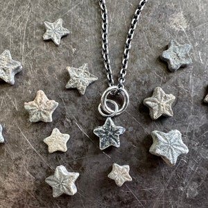 tiny star fossil necklace pendant - crinoid star fossil jewelry