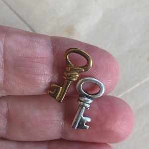 May include: Two small decorative keys, one gold-toned and the other silver-toned, are displayed. The keys are held in a hand, showcasing their intricate details. The gold key has a warm, metallic sheen, while the silver key offers a contrasting cool tone.