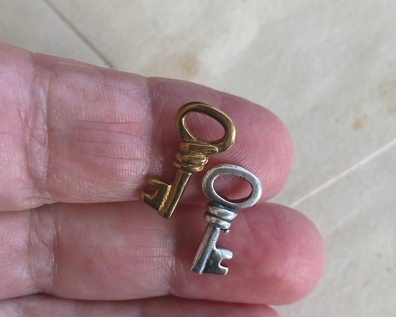 May include: Two small decorative keys, one gold-toned and the other silver-toned, are displayed. The keys are held in a hand, showcasing their intricate details. The gold key has a warm, metallic sheen, while the silver key offers a contrasting cool tone.