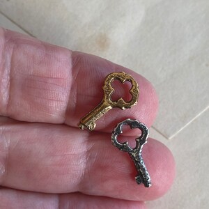 May include: Two small decorative keys, one gold and one silver, with intricate designs on the keyhole.