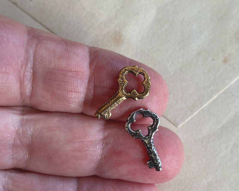 May include: Two small decorative keys, one gold and one silver, with intricate designs on the keyhole.