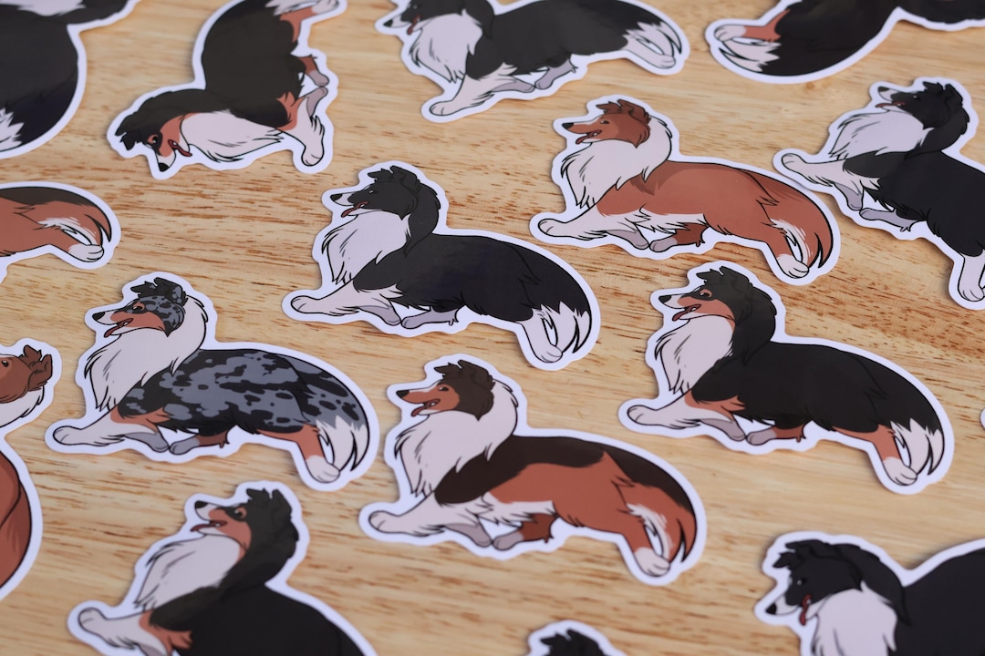 Shetland Sheepdog Rough Collie Sticker | Sable Tri Color Bi Black Merle ...