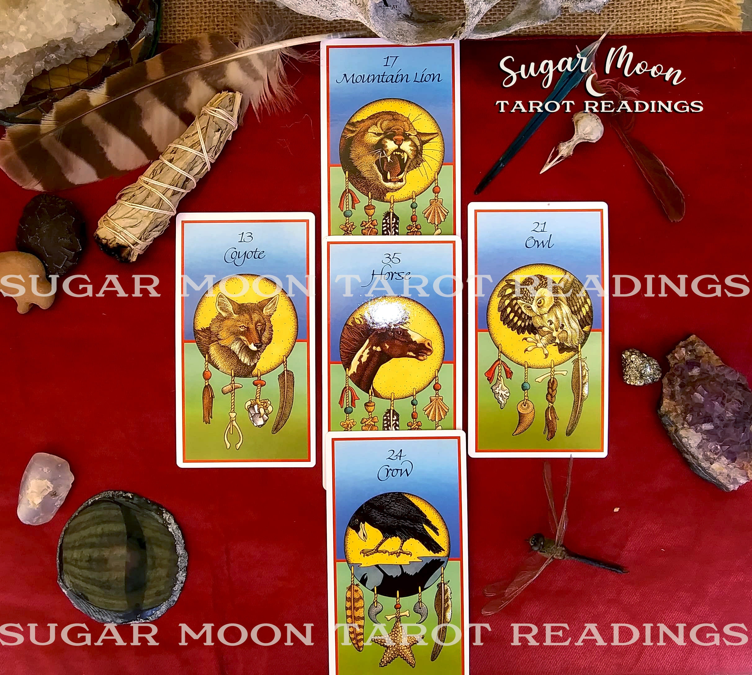 Medicine Cards Medicine Wheel Spread Reading Etsy
