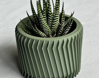 Ridgewave Planter | Plant Pot with Drainage & Saucer For Houseplants | Home and Office Decoration | Housewarming Gift | Multicolor |