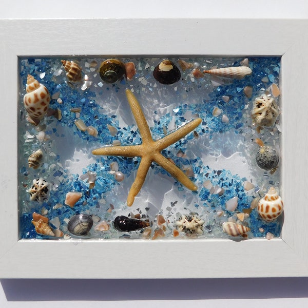 Seashell Wall Hanging, Coastal Art, Seashell Window, Beach Art, Glass Art, Resin Art, Beach Decor, Wall Art, Beach Wall Art, Mixed Media Art